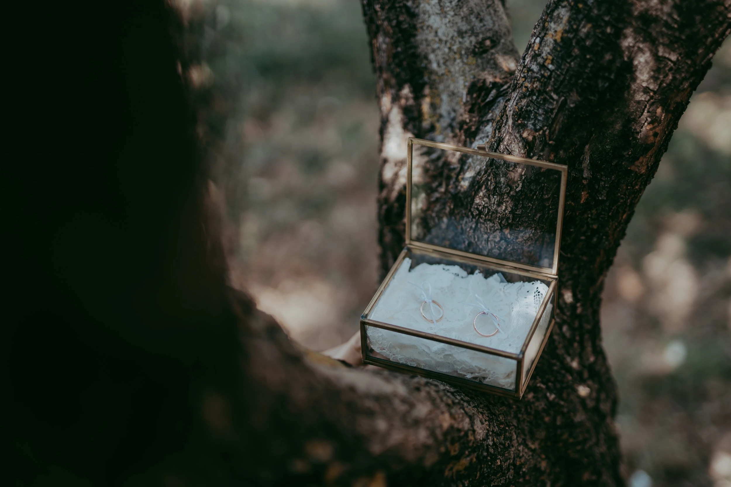 Alessia e Hugo - foto 12