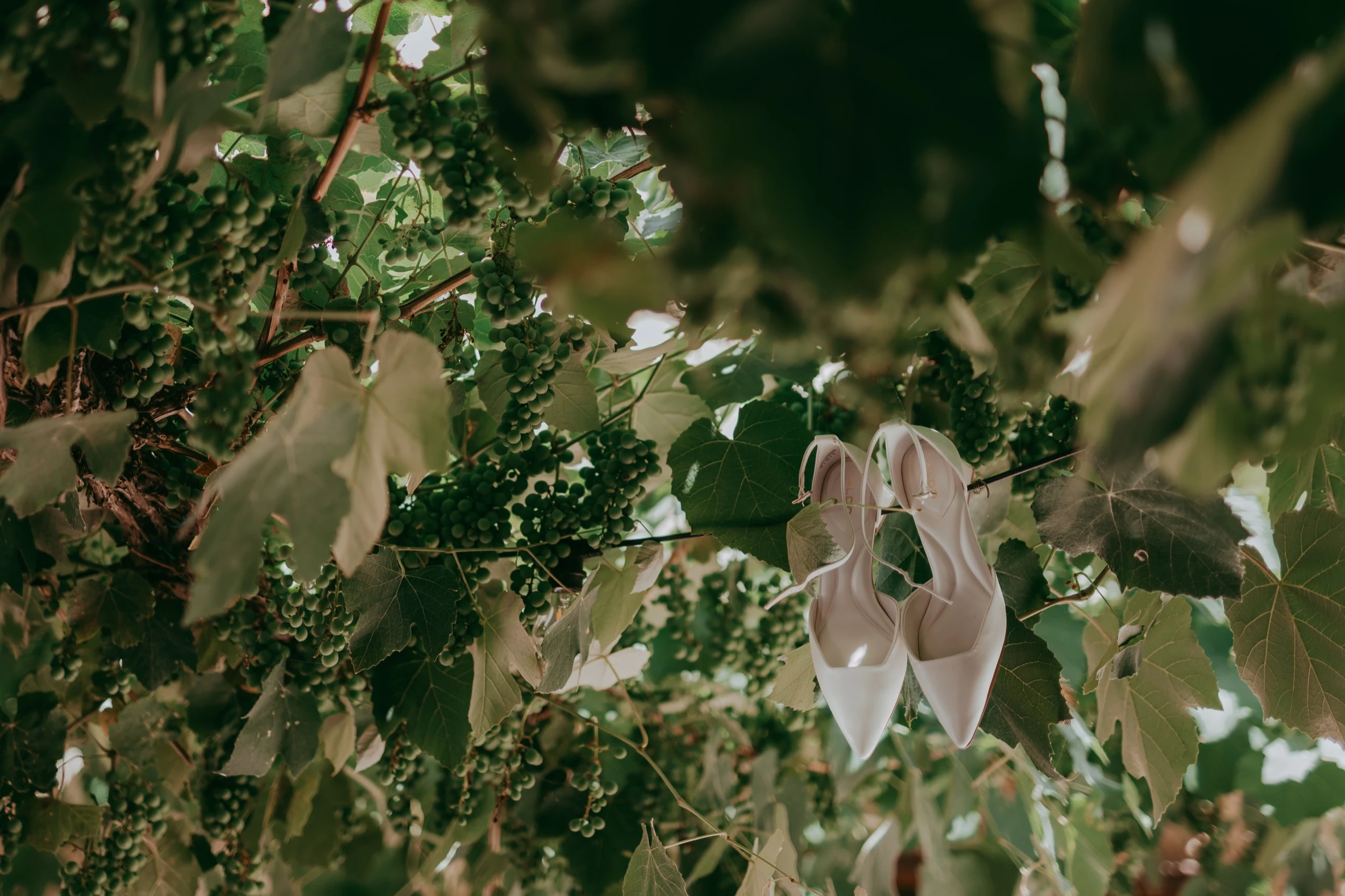 Alessia e Hugo - foto 13