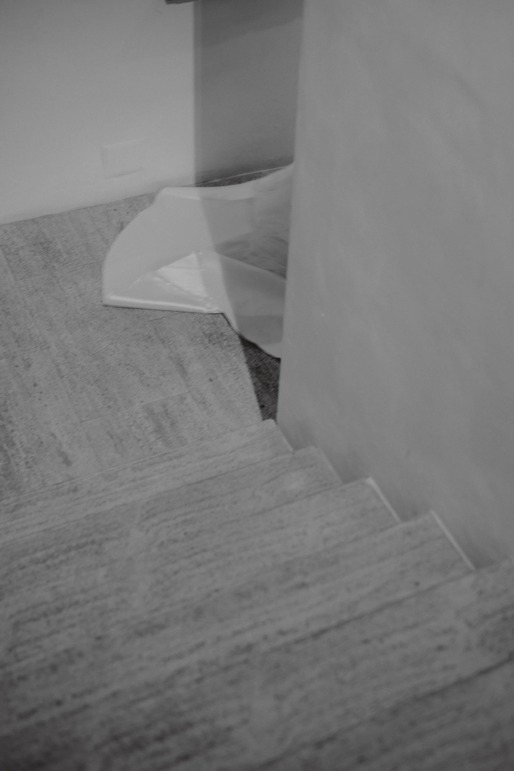 Carolin e Ricardo - foto 89