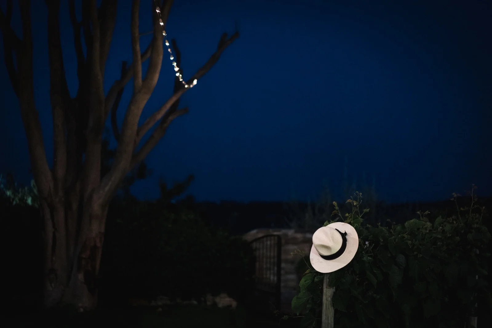 Ceren e Kerem — foto 65