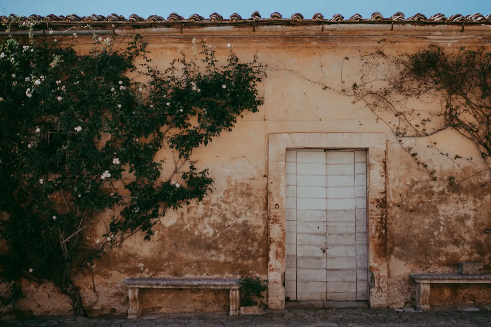 Clover e Craig - foto 3