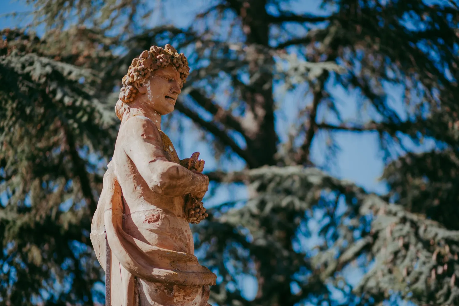 Clover e Craig - foto 4