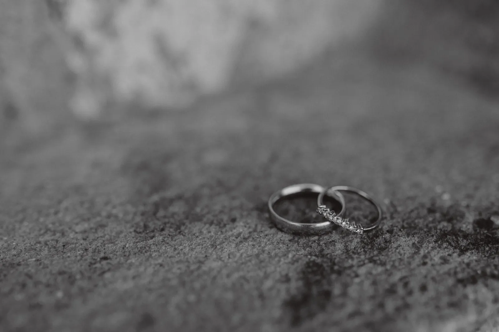 Clover e Craig - foto 29