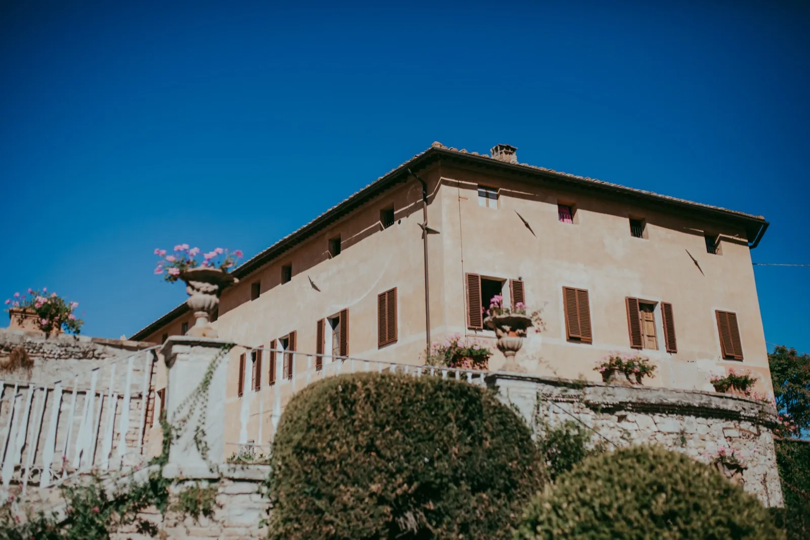 Clover e Craig - foto 8