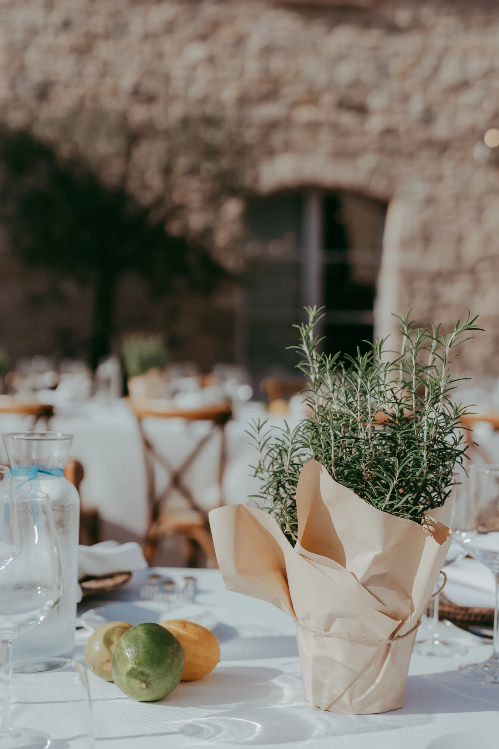 Helene e Thujan - foto 57