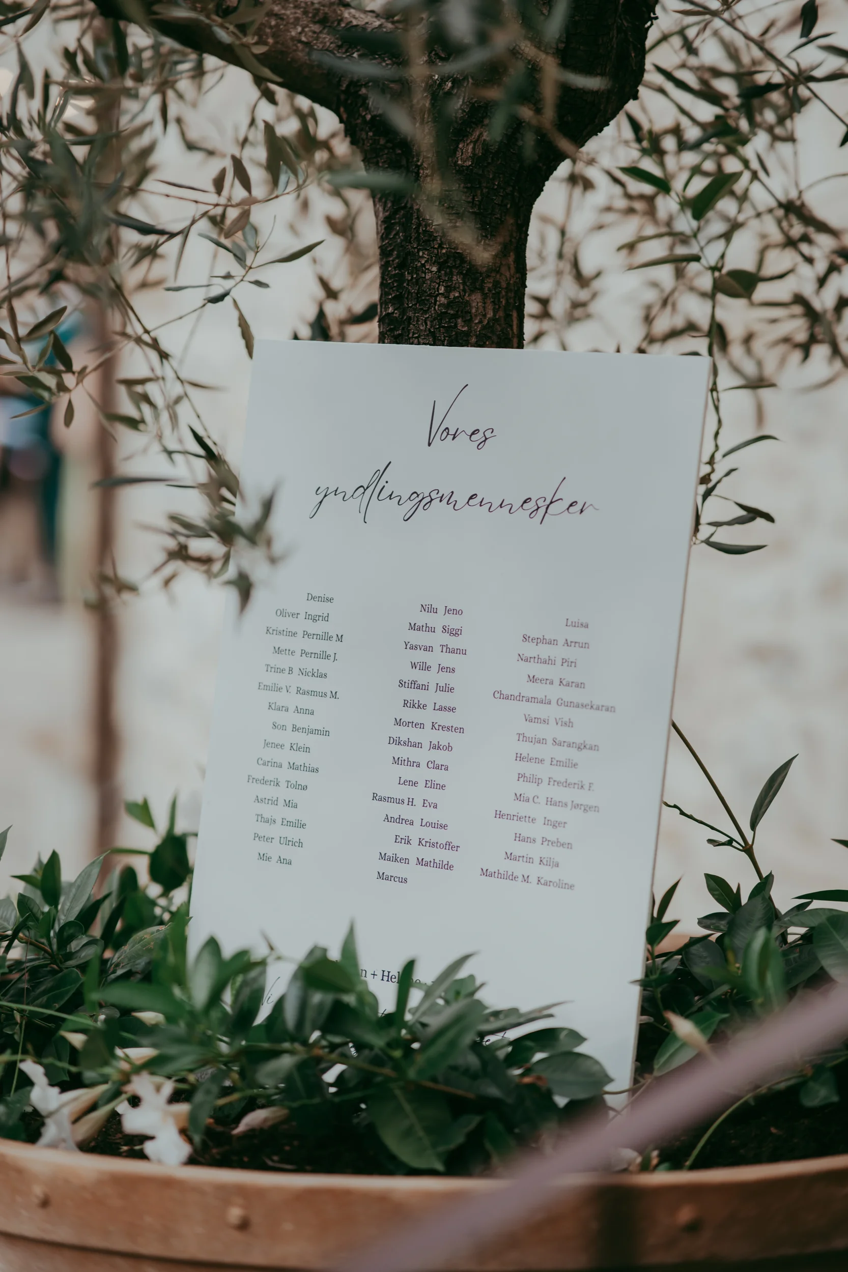 Helene e Thujan - foto 73