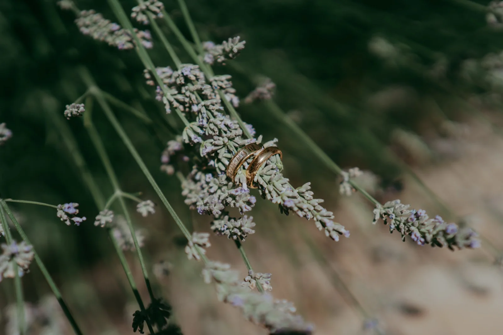 Nina e Thomas — foto 19