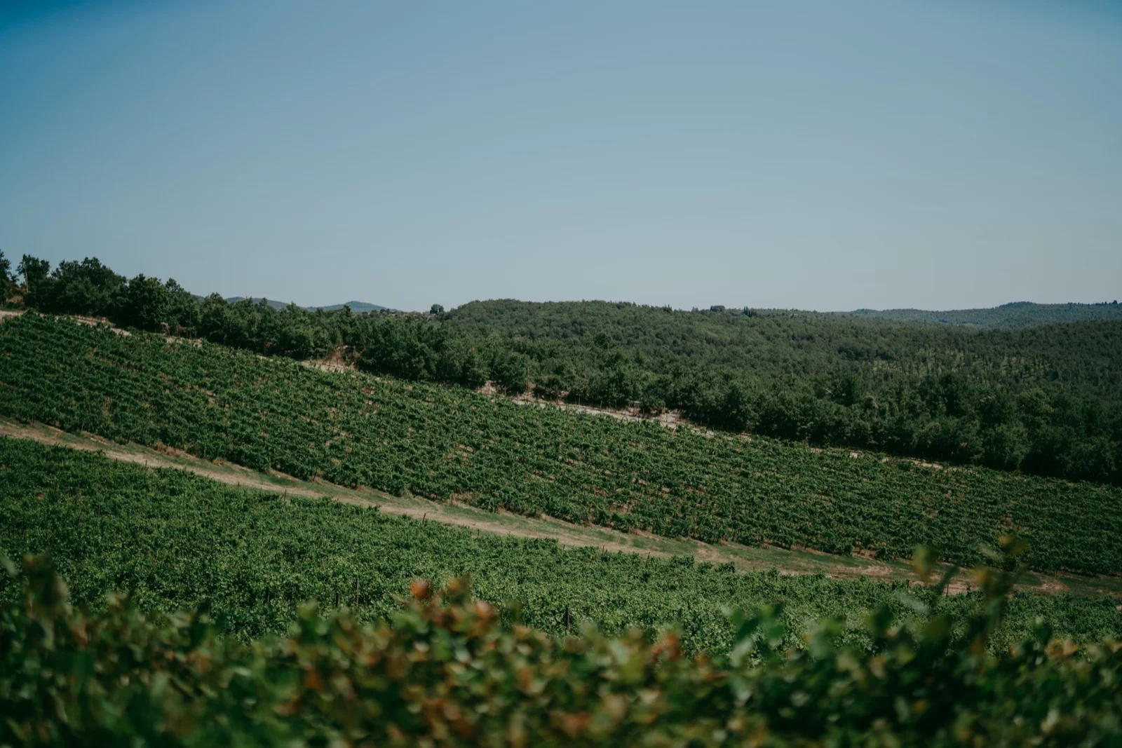 Nina e Thomas — foto 20