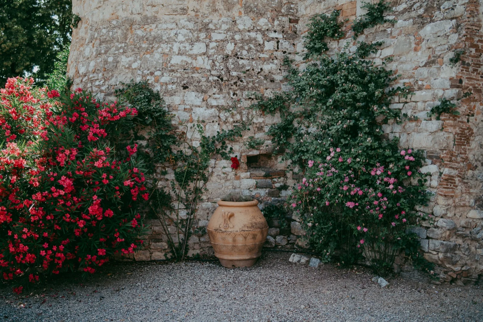 Nina e Thomas — foto 28