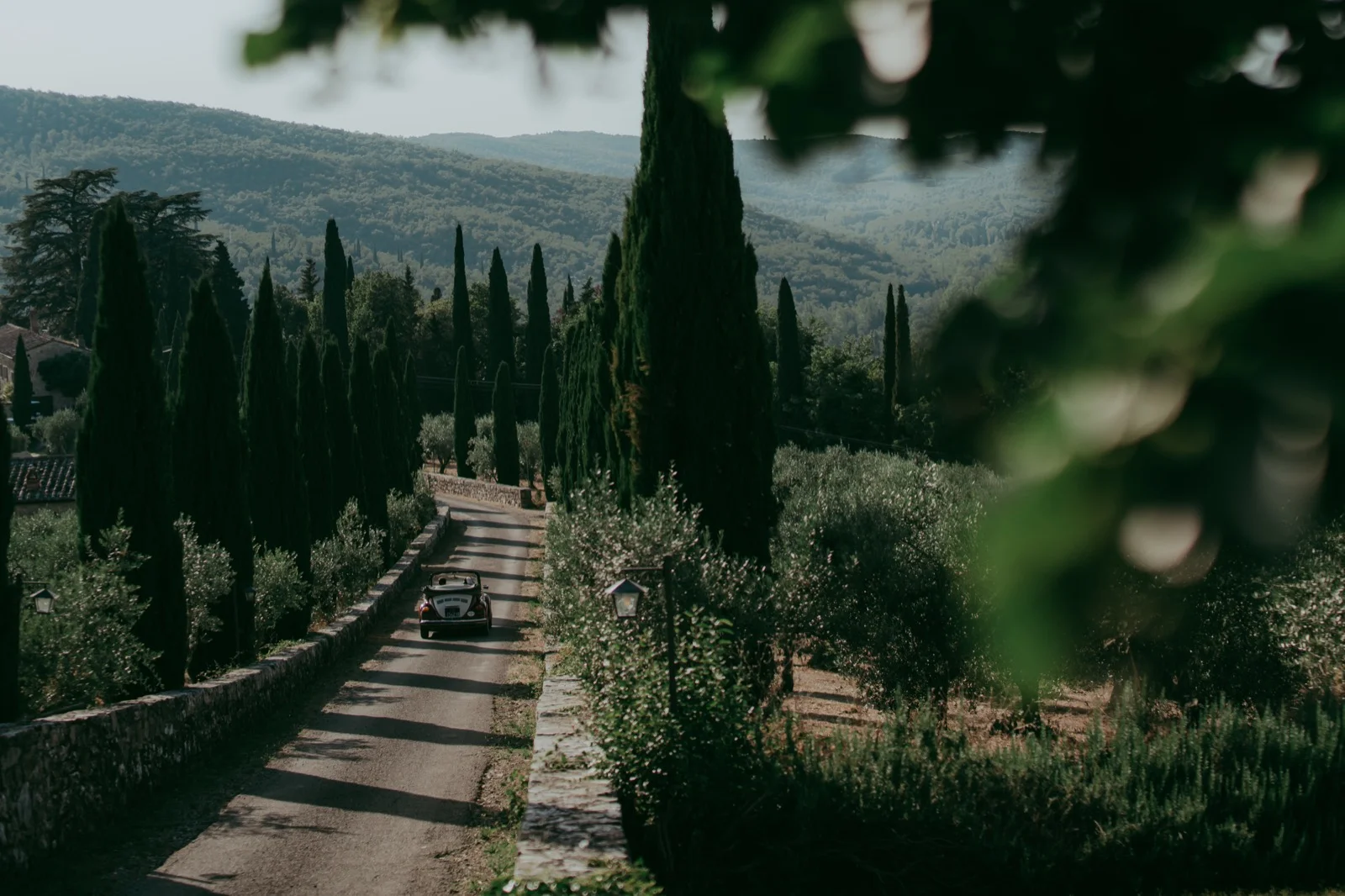 Nina e Thomas — foto 76