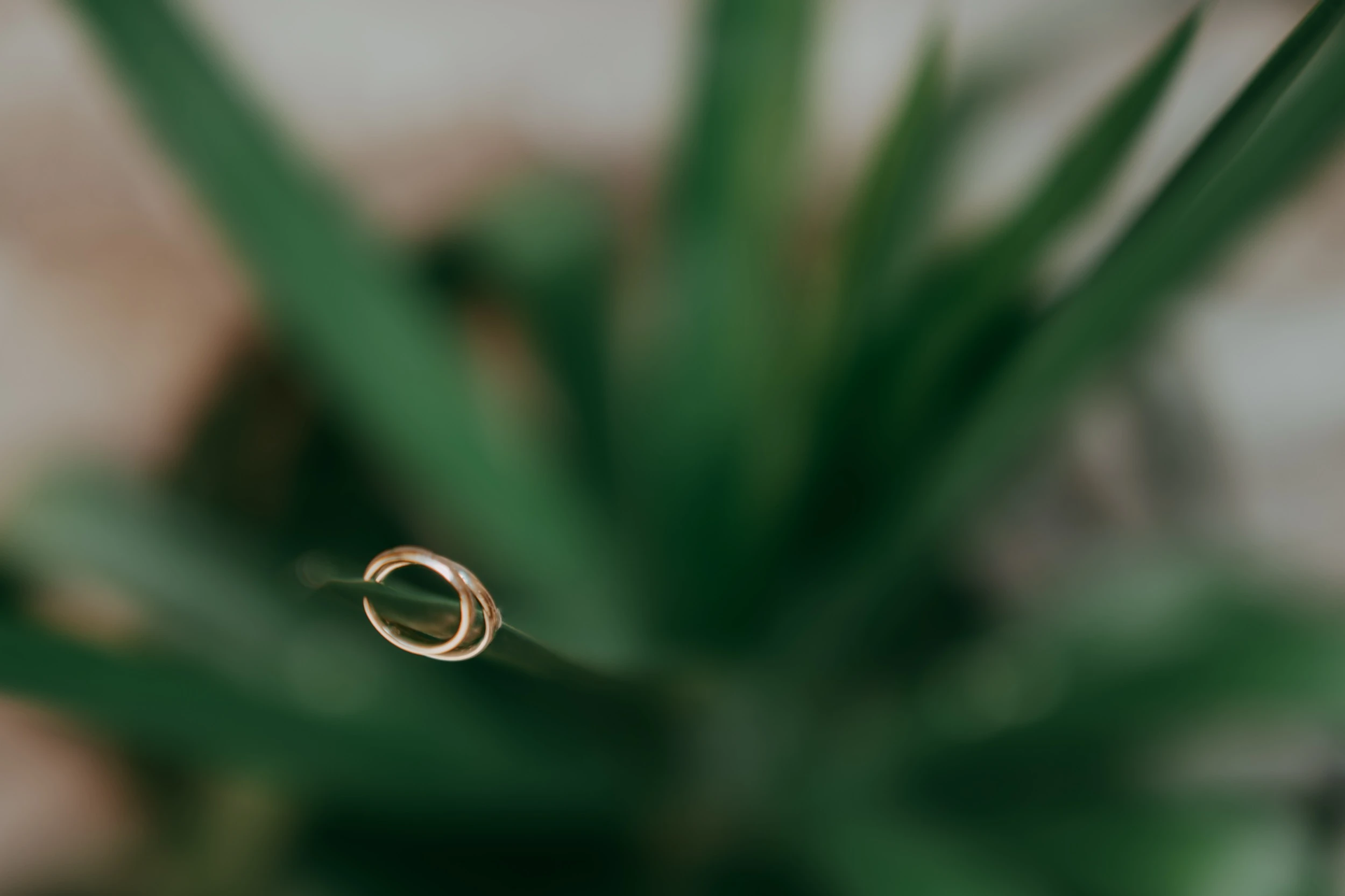 Veronica e Damiano — foto 4