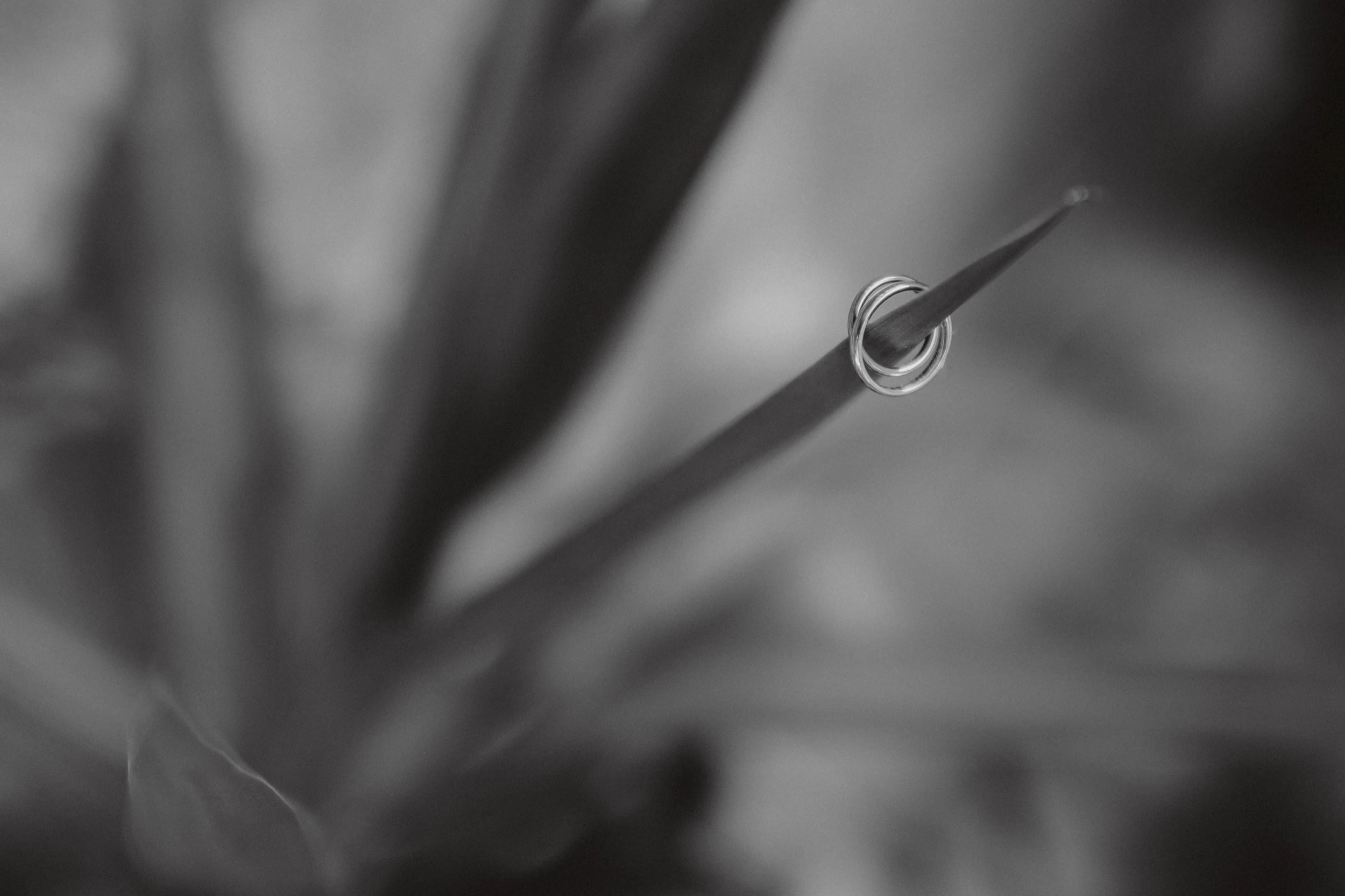 Veronica e Damiano — foto 5